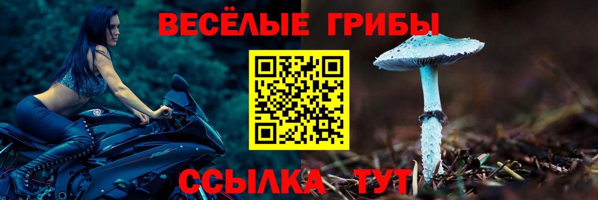 наркота  Галлюциногенные грибы мицелий  Партизанск  Вход с VPN  Псилоцибиновые грибы Cubensis 